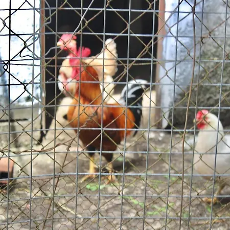 Quinta Da Mainha * براغا