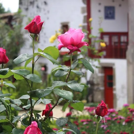 Quinta Da Mainha فيلة براغا