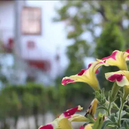 Quinta Da Mainha فيلة