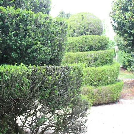 Quinta Da Mainha فيلة
